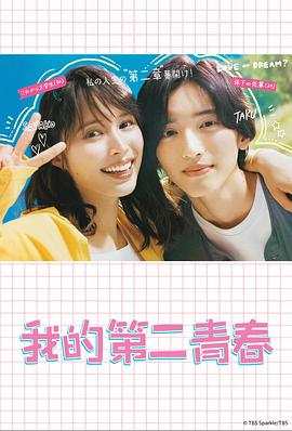 seo都使用什么域名